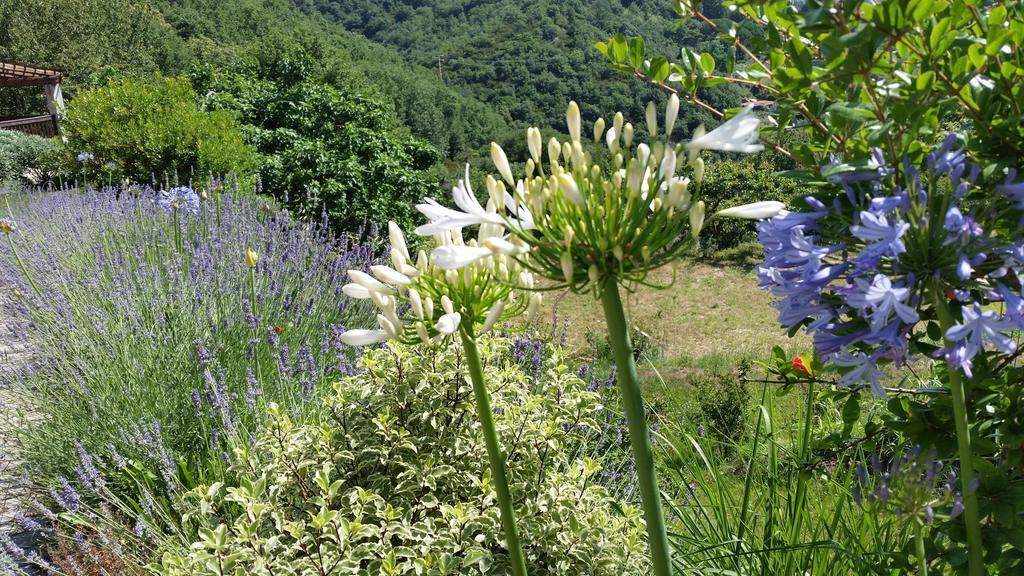 Bed & Breakfast Gocce Di Luna